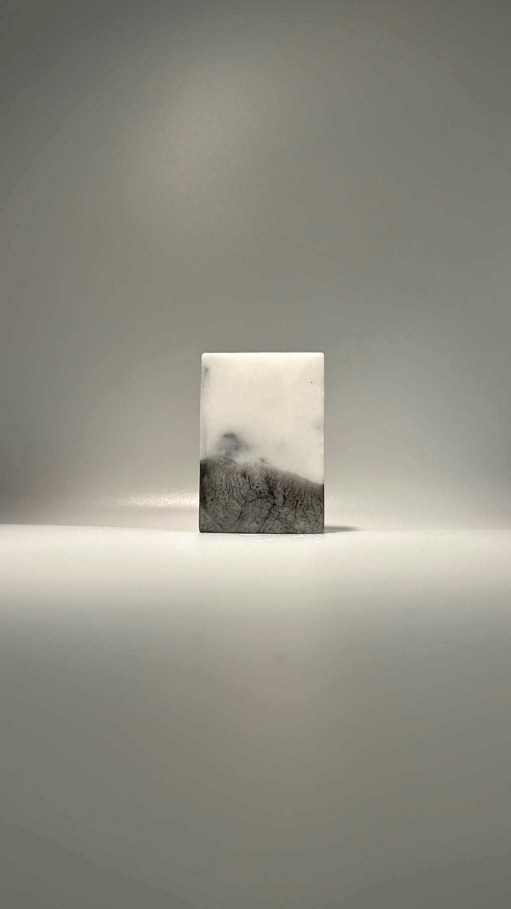 Activated Charcoal + Eucalyptus Bar Soap