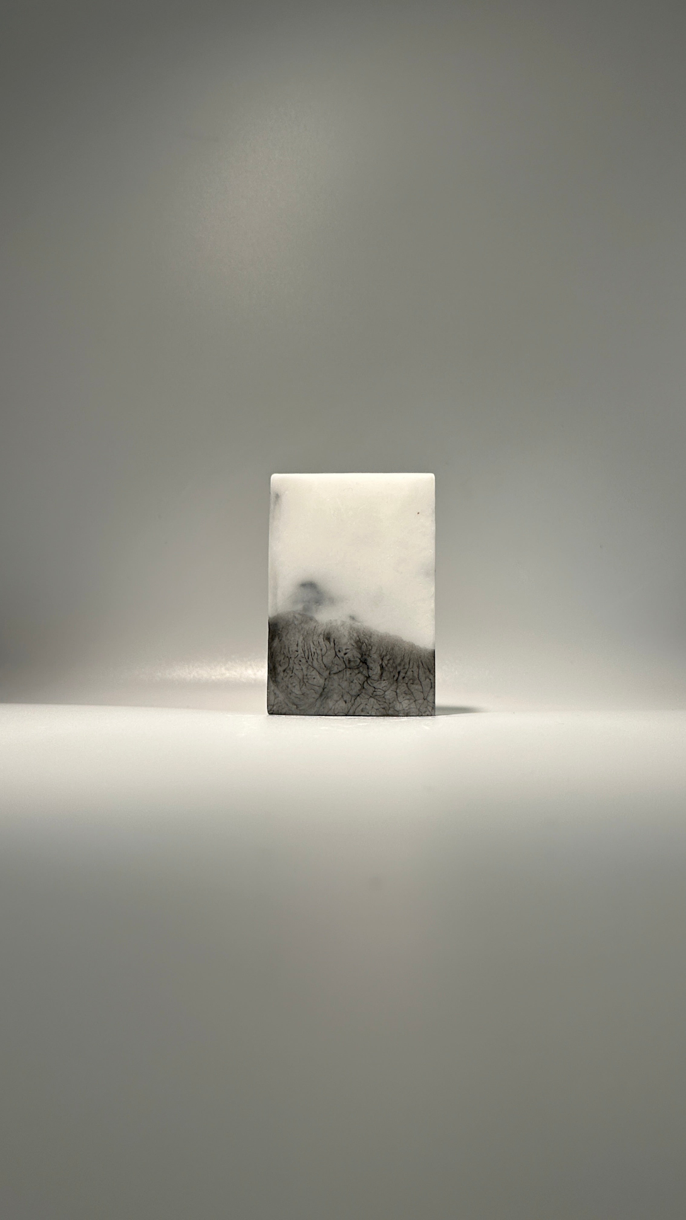 Activated Charcoal + Eucalyptus Bar Soap