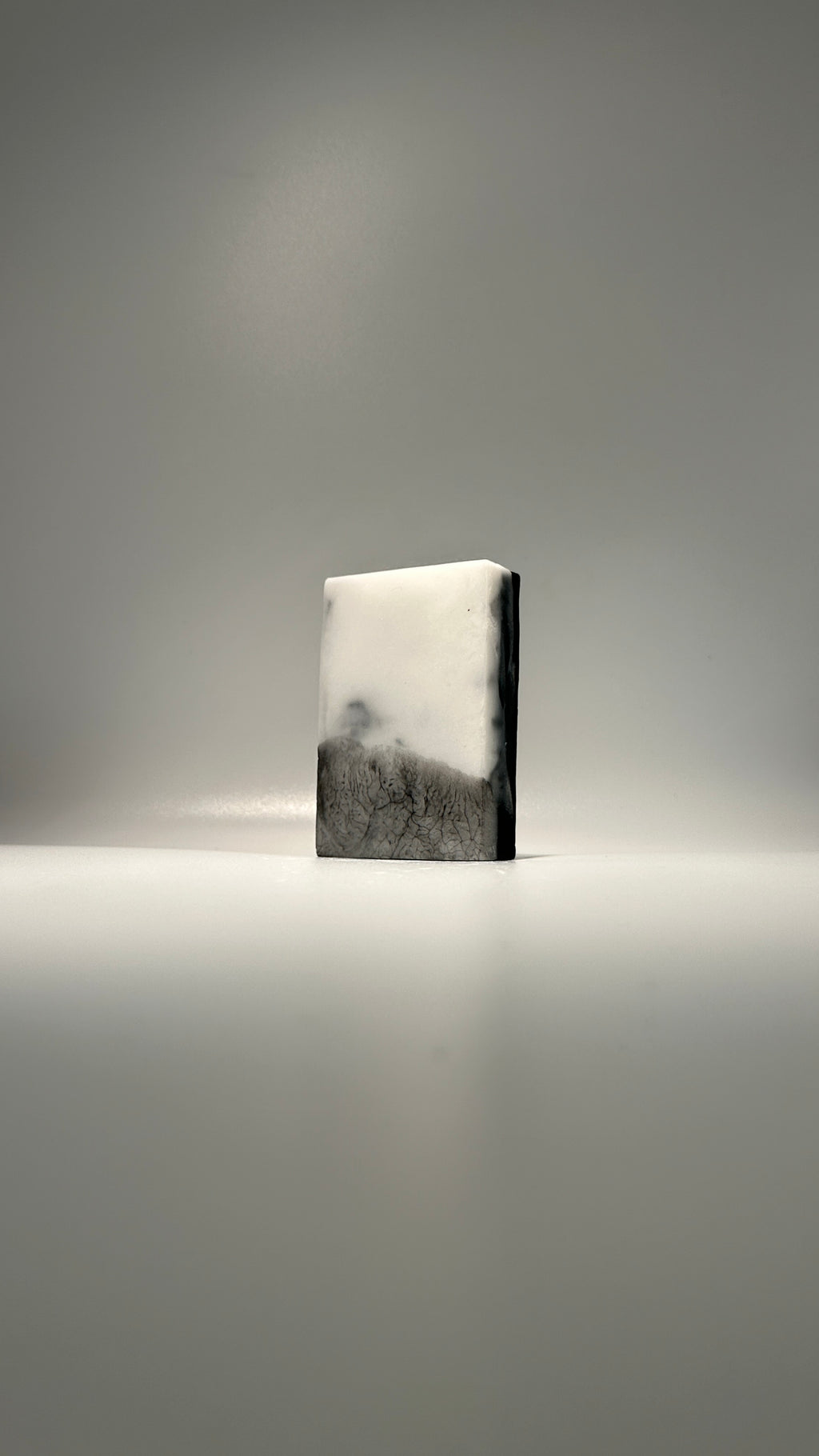 Activated Charcoal + Eucalyptus Bar Soap