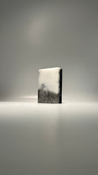Activated Charcoal + Eucalyptus Bar Soap