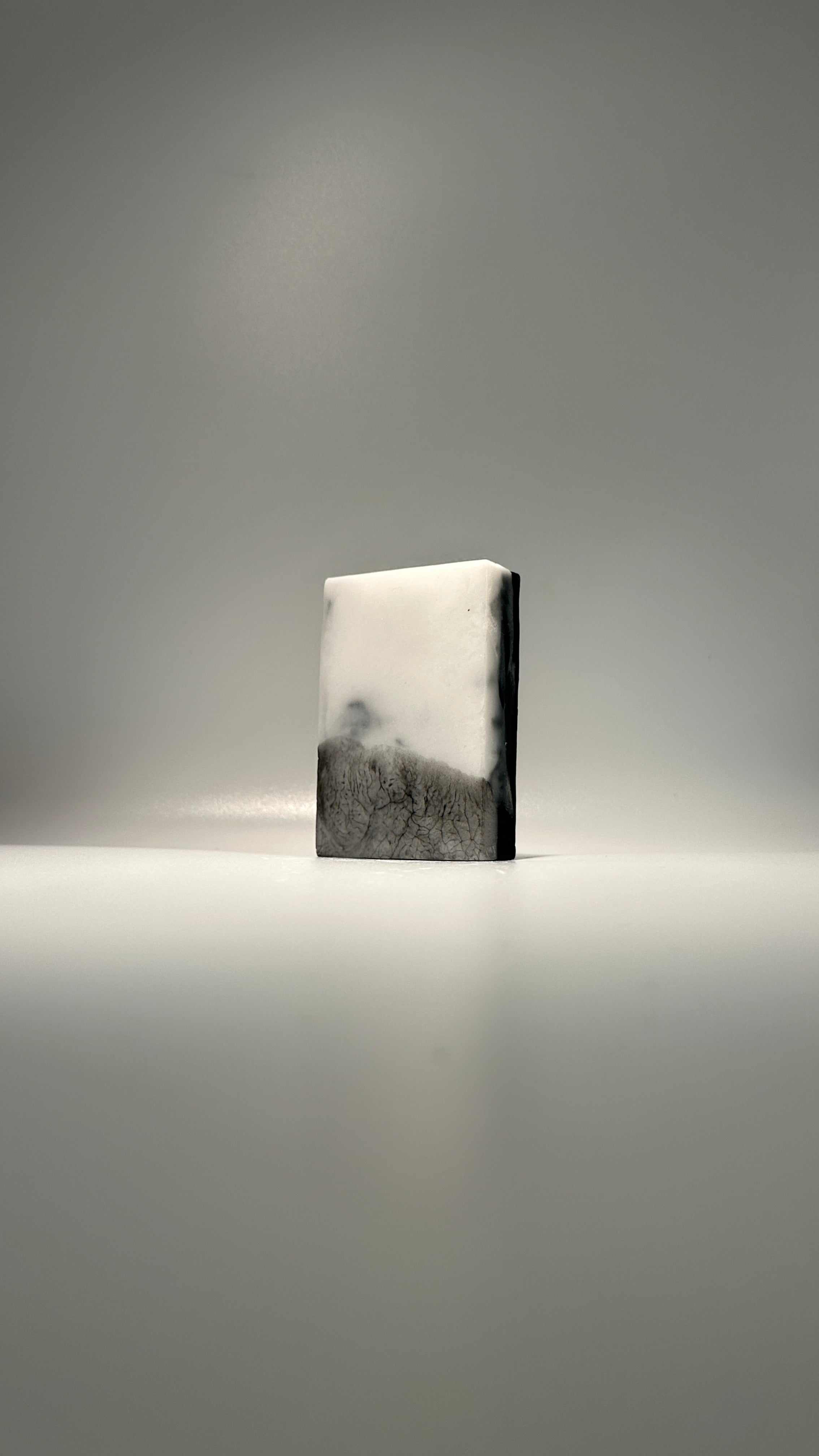 Activated Charcoal + Eucalyptus Bar Soap
