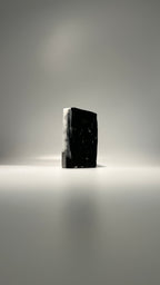 Activated Charcoal + Eucalyptus Bar Soap