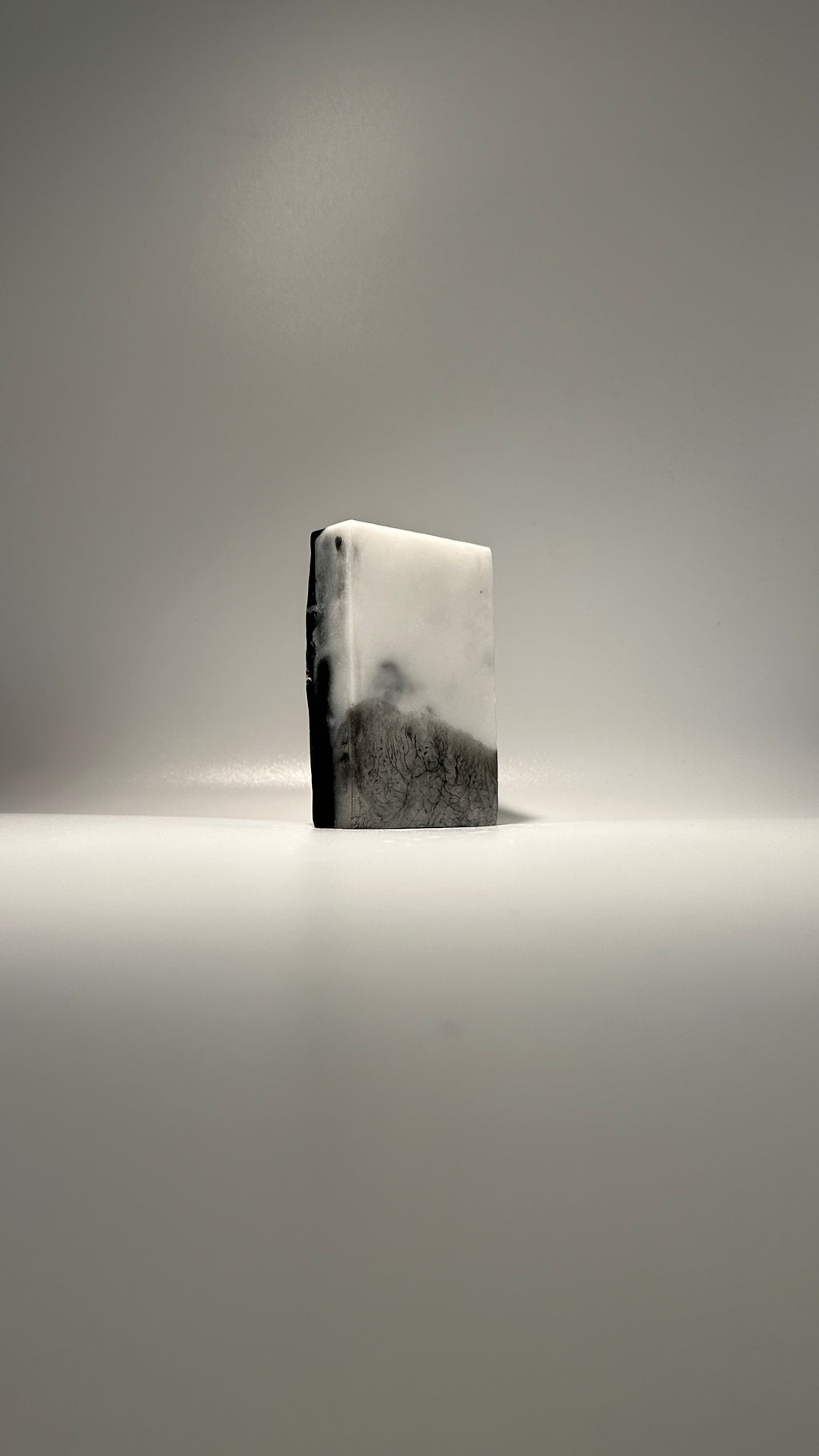 Activated Charcoal + Eucalyptus Bar Soap