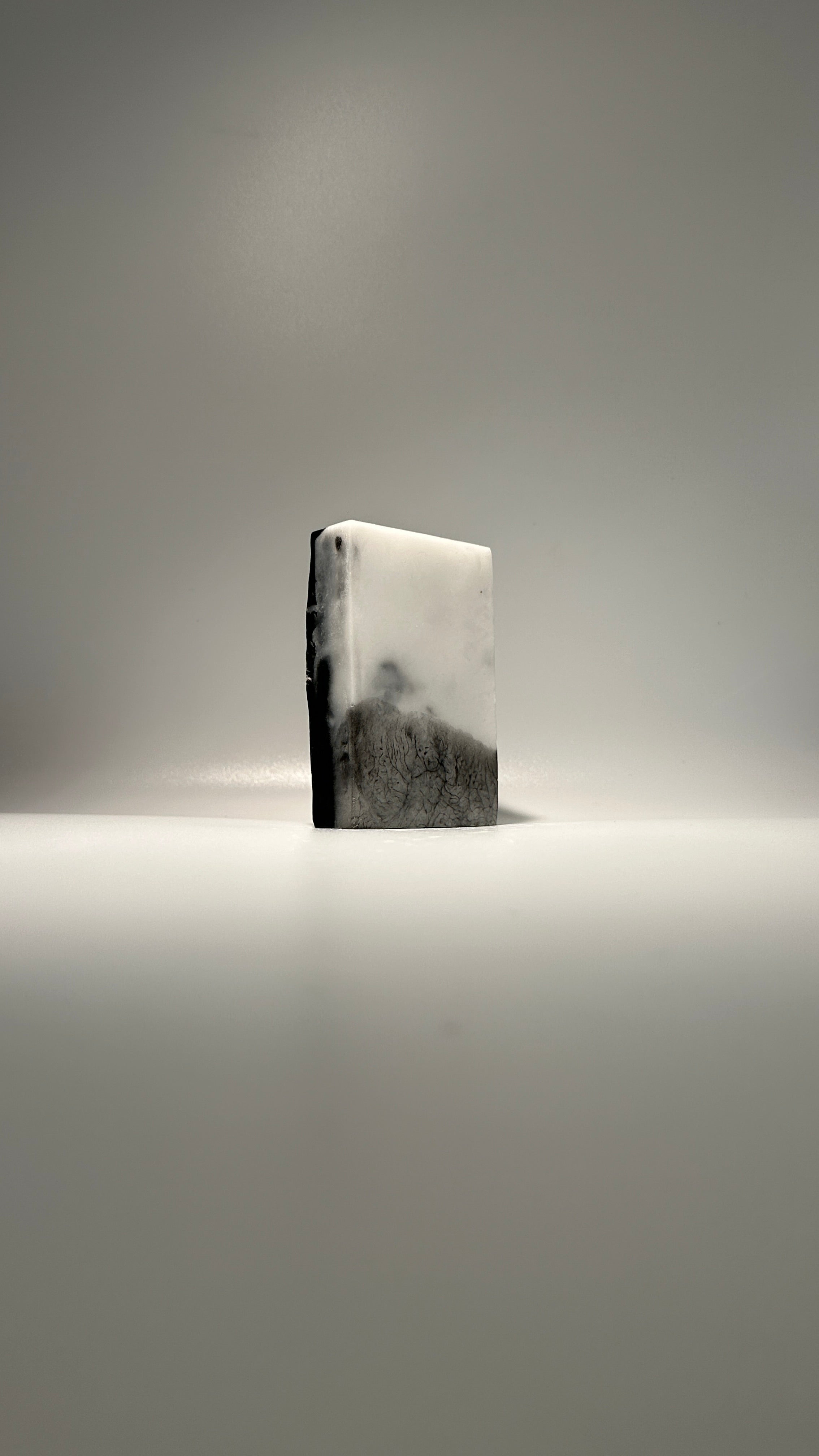 Activated Charcoal + Eucalyptus Bar Soap